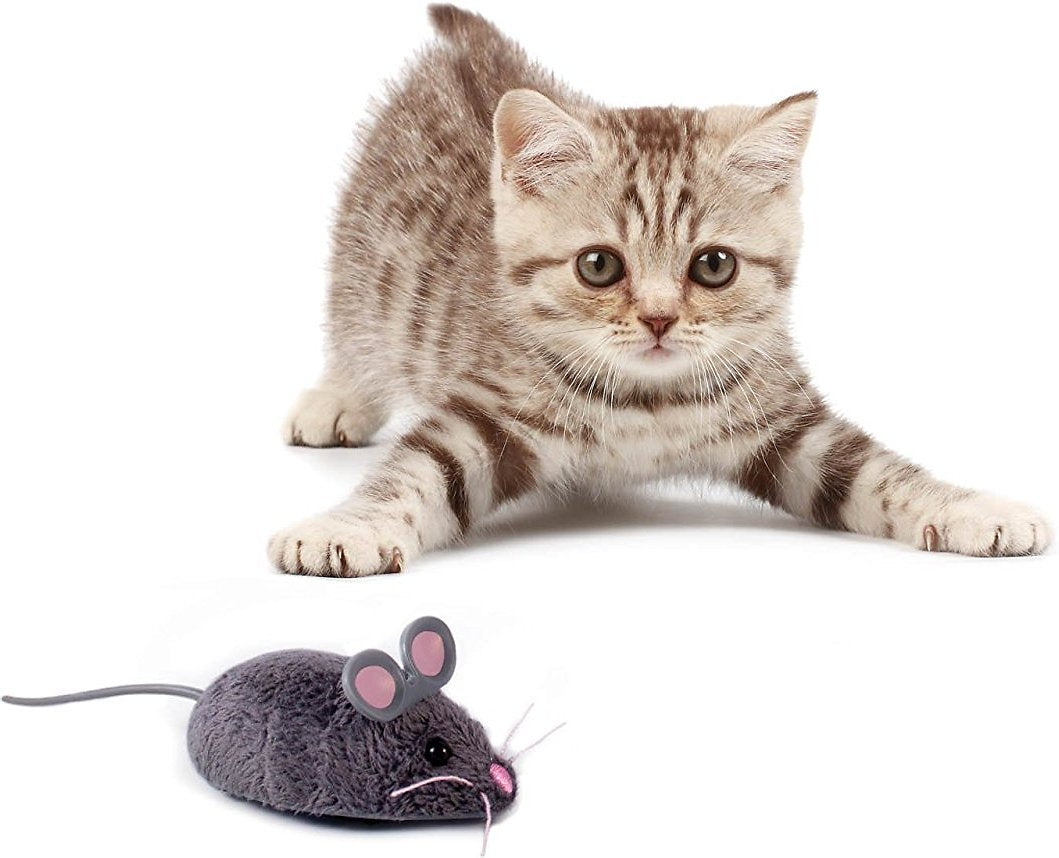 robot mouse cat toy