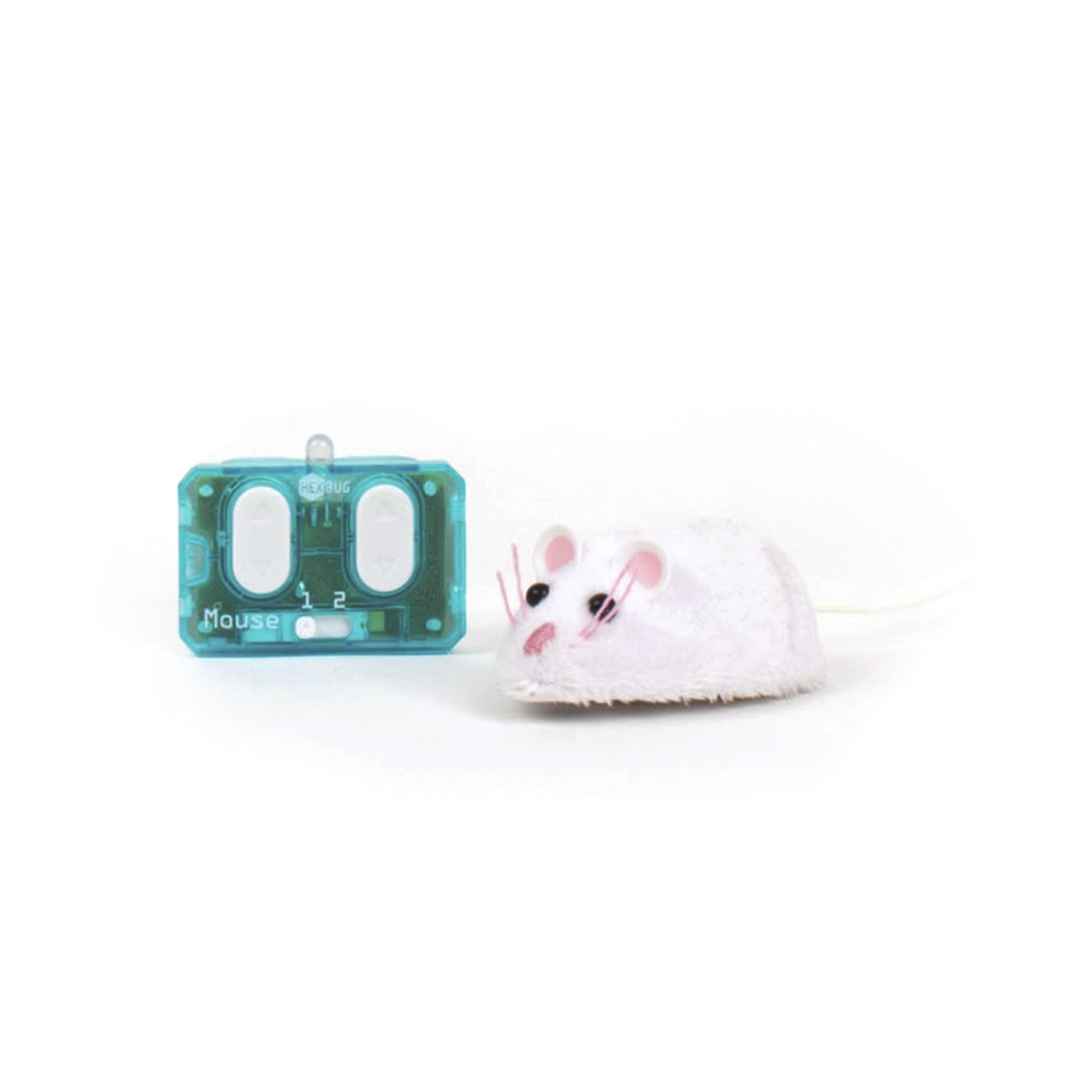 hexbug mouse cat toy