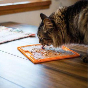 cat eating mat