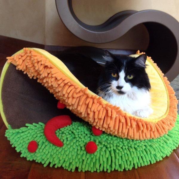 taco cat bed