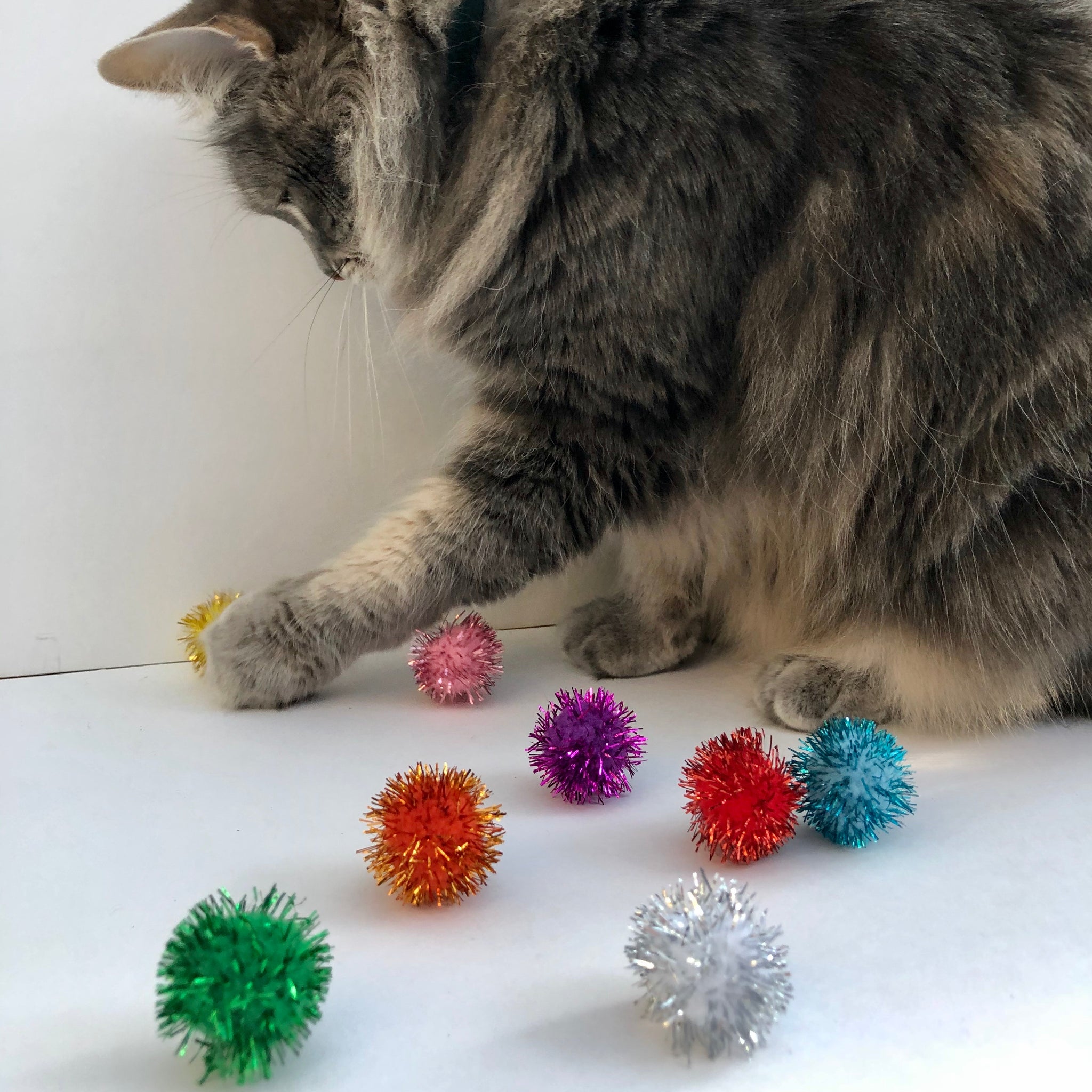 tinsel pom pom cat toy