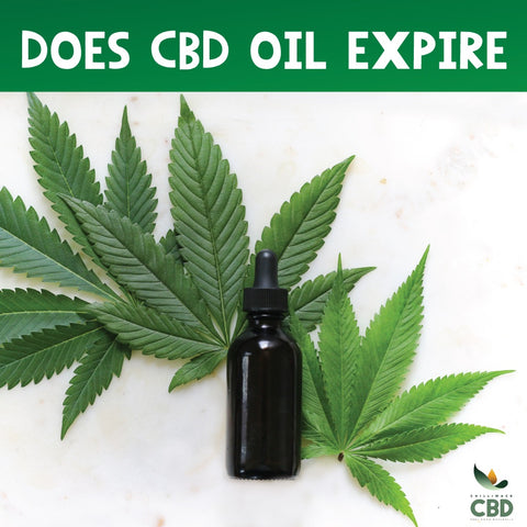 does cbd oil expire