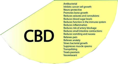 cbd benefits wheel