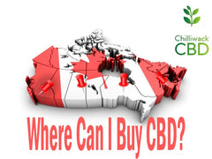 Where can i buy CBD?