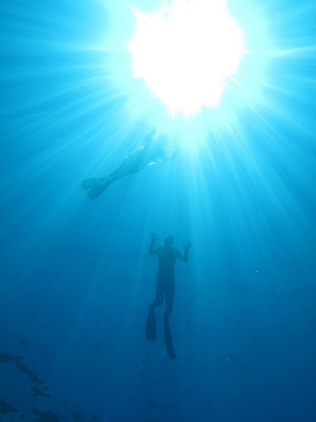 Zen Freediving Trip to Cebu Philippines