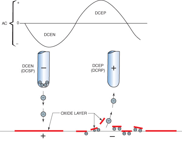 DCEN and DCEP