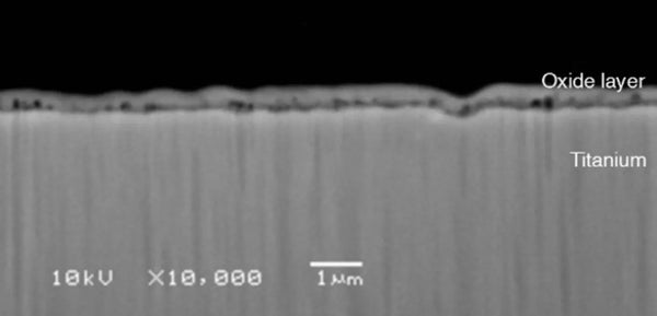 Cross-sectional photograph of titanium anodic oxide film
