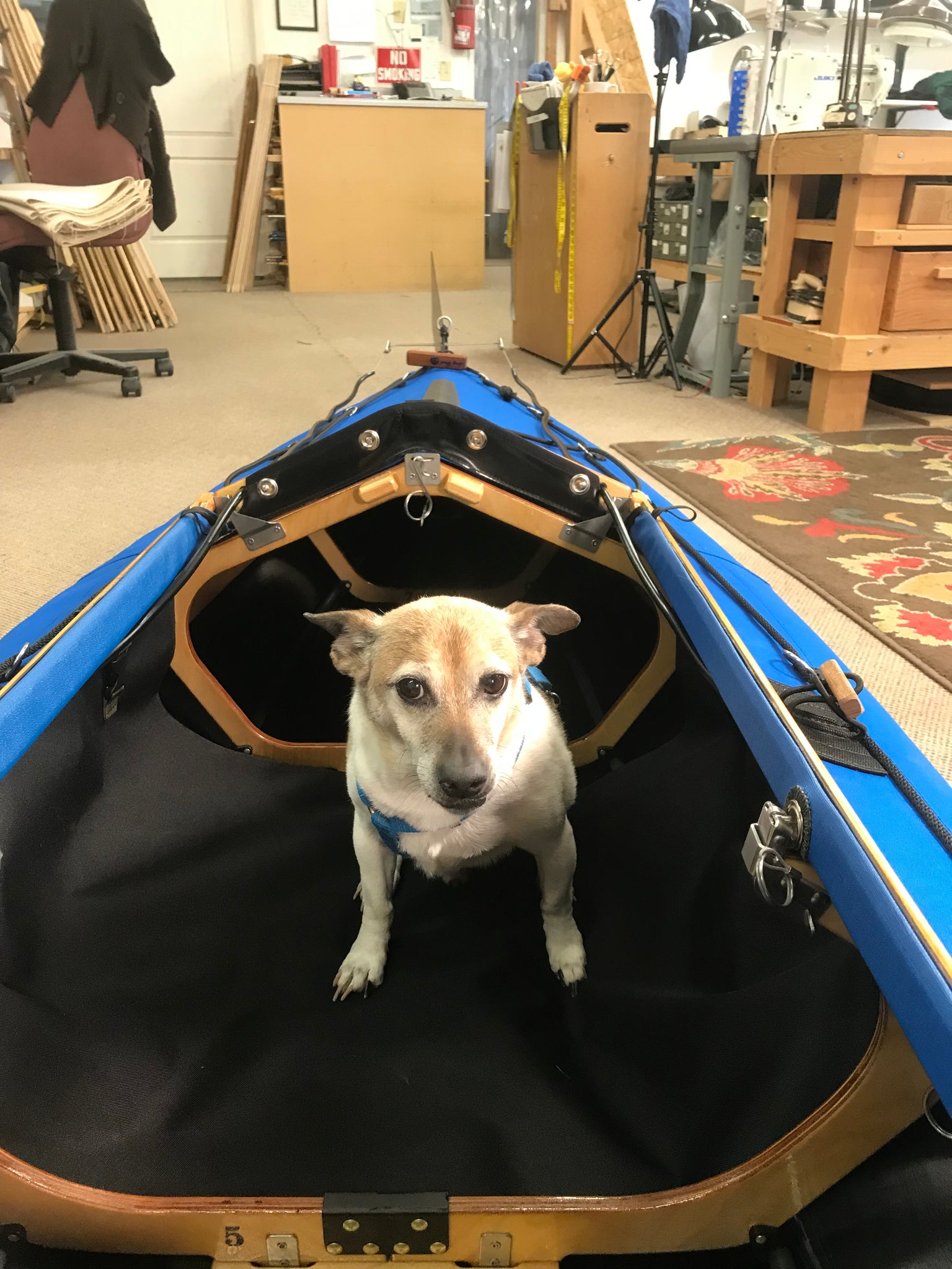 kayak dog sling – long haul folding kayaks