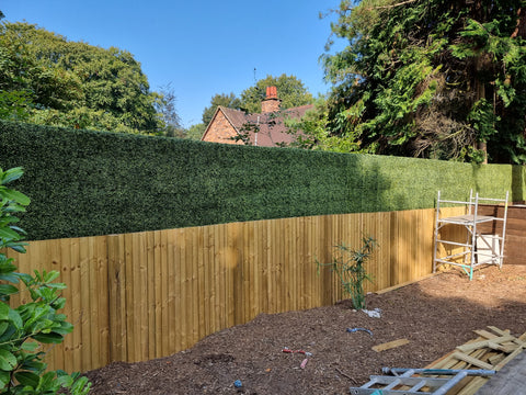 artificial yellow box hedge extension on wooden fence