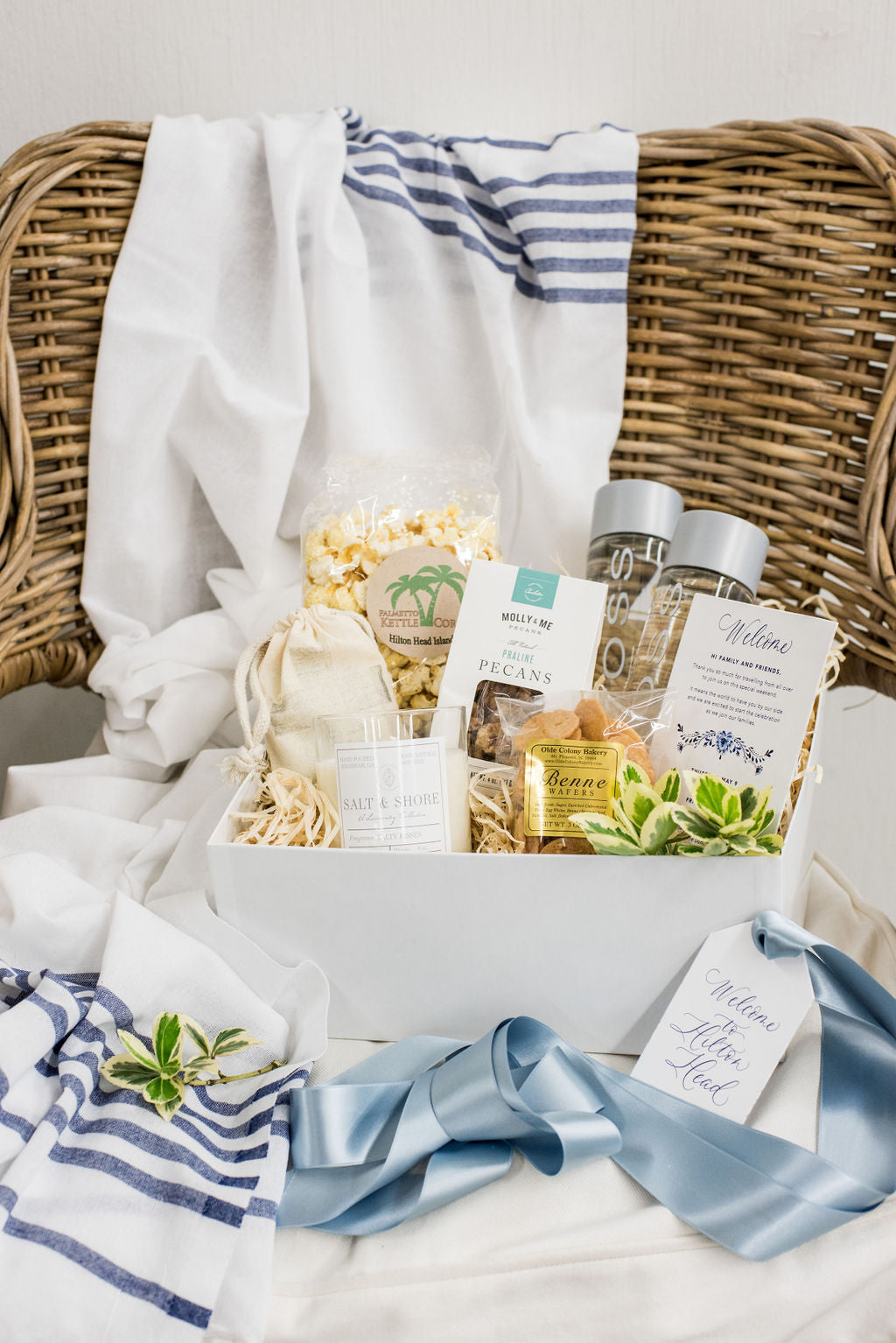 Celebrate It Clear Basket Gift Bags - 24 ct