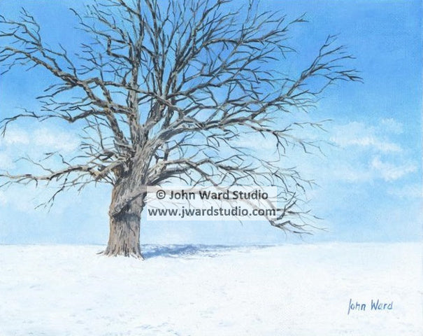 A Winter Day by John Ward www.jwardstudio.com snow landscape tree