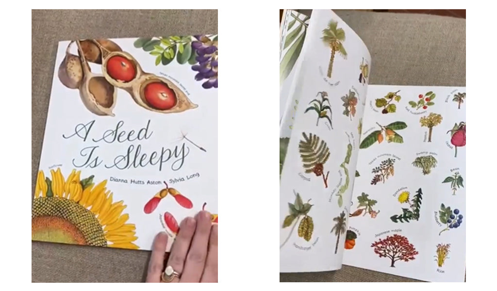 Anna's Springtime Children's Book Picks - Chronicle Books A Seed is Sleepy - Dianna Hutts Aston, Sylvia Long