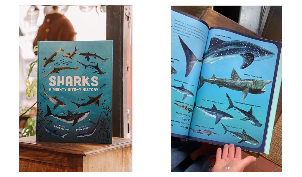 SMALL-FOLK Book of the Week: Sharks: A Mighty Bite-y History - Miriam Forster