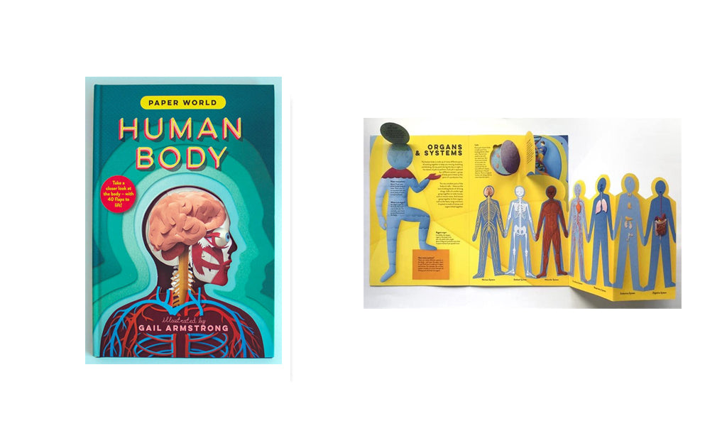 Book of the Week this week is Human Body - Paper World by Ruth Symons and Gail Armstrong