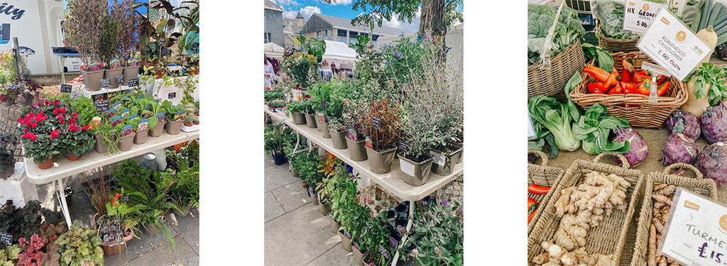 The SMALL-FOLK Totnes Guide: The Market