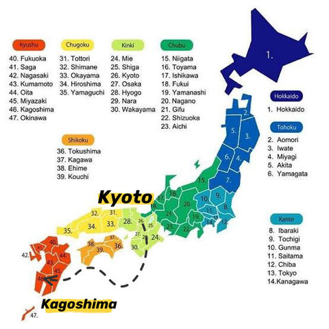 kagoshima shizuoka