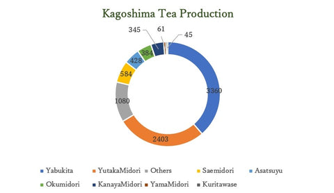 Kagoshima Tea Production