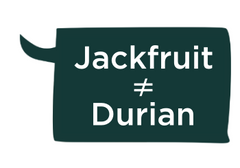 Jackfruit ist nicht Durian - JACKY F. Bio-Jackfruit