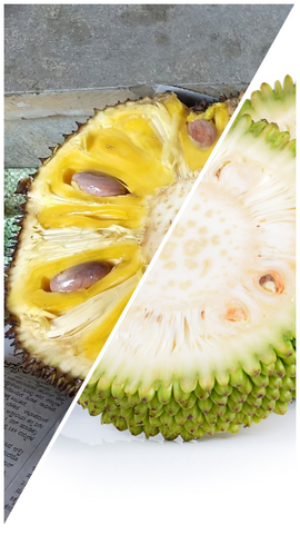 Jackfruit in verschiedenen Reifegraden: Jung vs. Reif