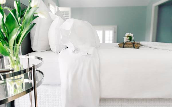 white king cotton sheet set