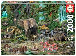 Puzzle d'Observation à Partir de 3 ans – Jungle « La Nounourserie