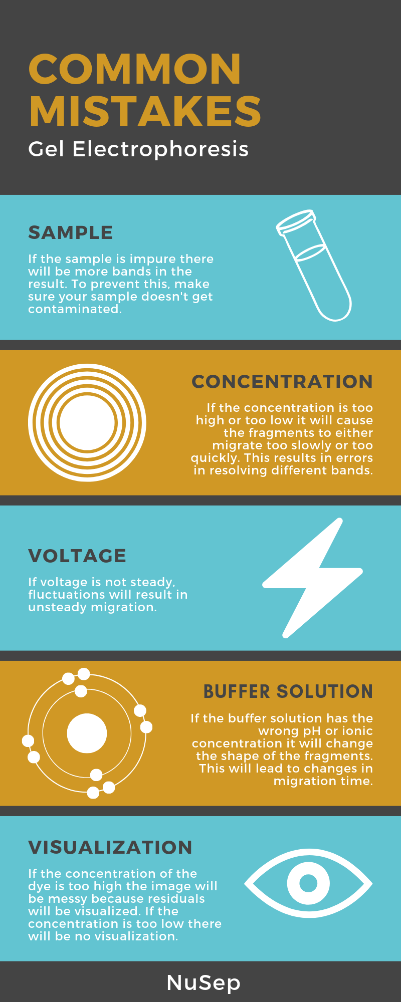 Inforgraphic on common mistakes in gel electrophoresis