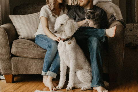 A family photo with a poodle and a cat