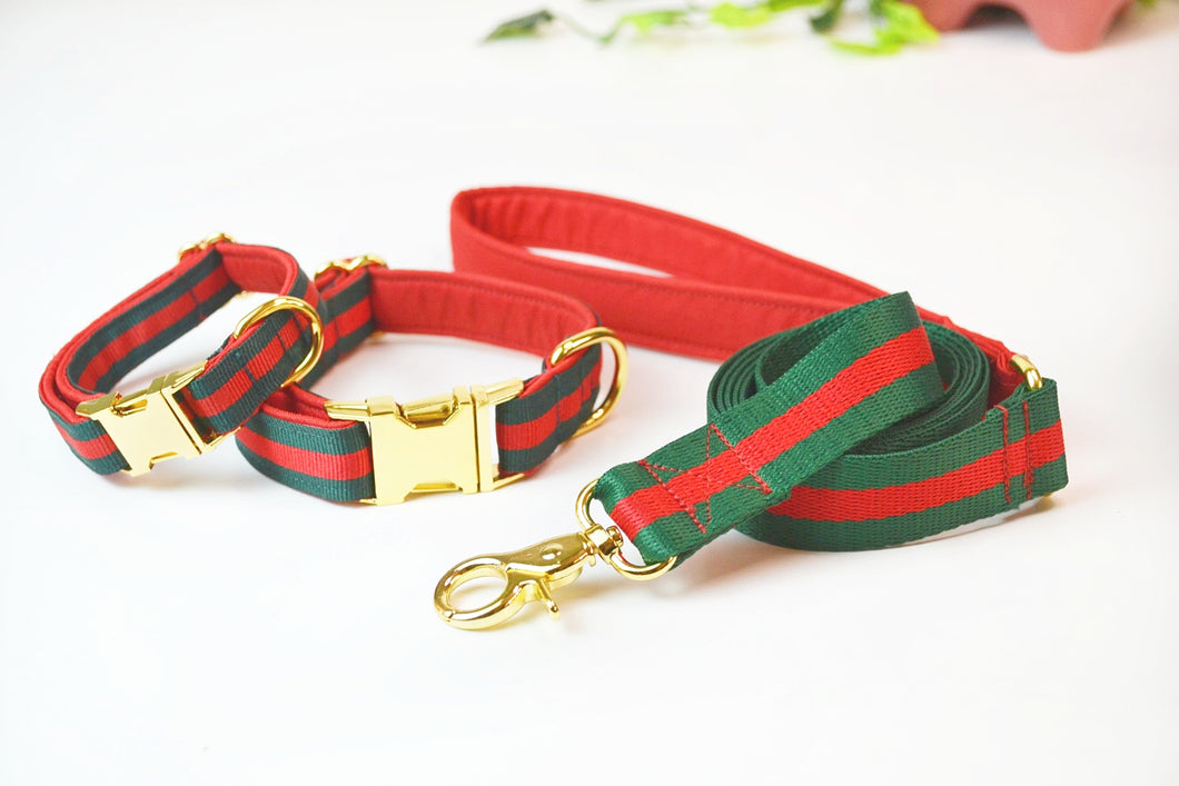 gucci inspired dog collar