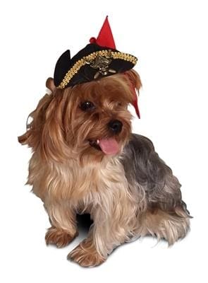 Buccaneer Pirate Pet Dog Costume