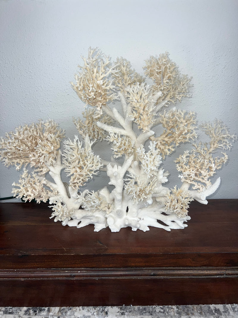 Vintage Lace Coral Sculpture- 20