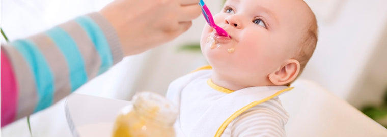 lucha Persona con experiencia ligado Qué dar de comer a un bebé de 6 meses?