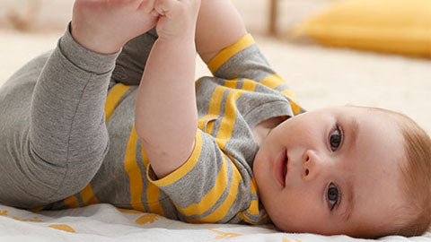 Excretar saltar Generador Desarrollo cognitivo y motor en bebés de 6 meses