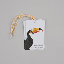 Toucan of My Affection Gift Tags - 4 Pack