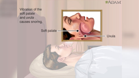 Understanding Why You Can't Hear Yourself Snore