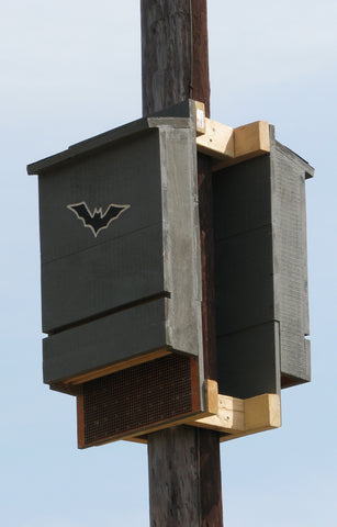 Bat House Placement