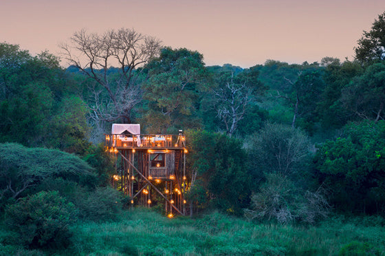 Safari Journal / Blog by Safari Fusion | African treehouses | Stylish tree lodgings at Lion Sands Tinyeleti Treehouse / South Africa
