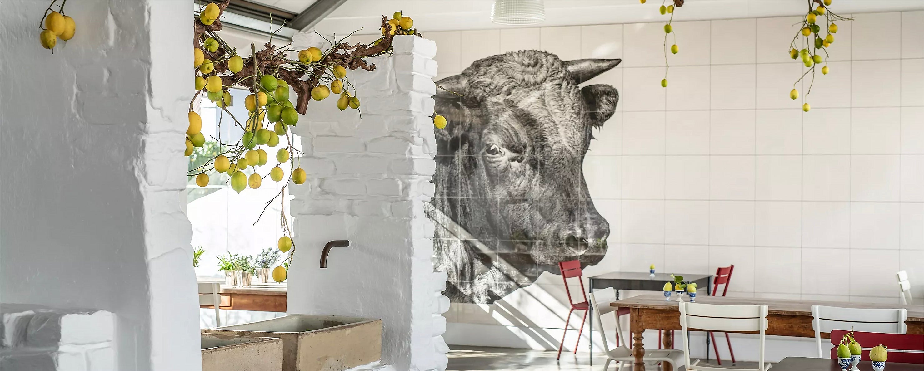 Safari Journal / Blog by Safari Fusion | Africa's Nguni cow | Winery farmhouse style at Babel restaurant, Babylonstoren / South Africa