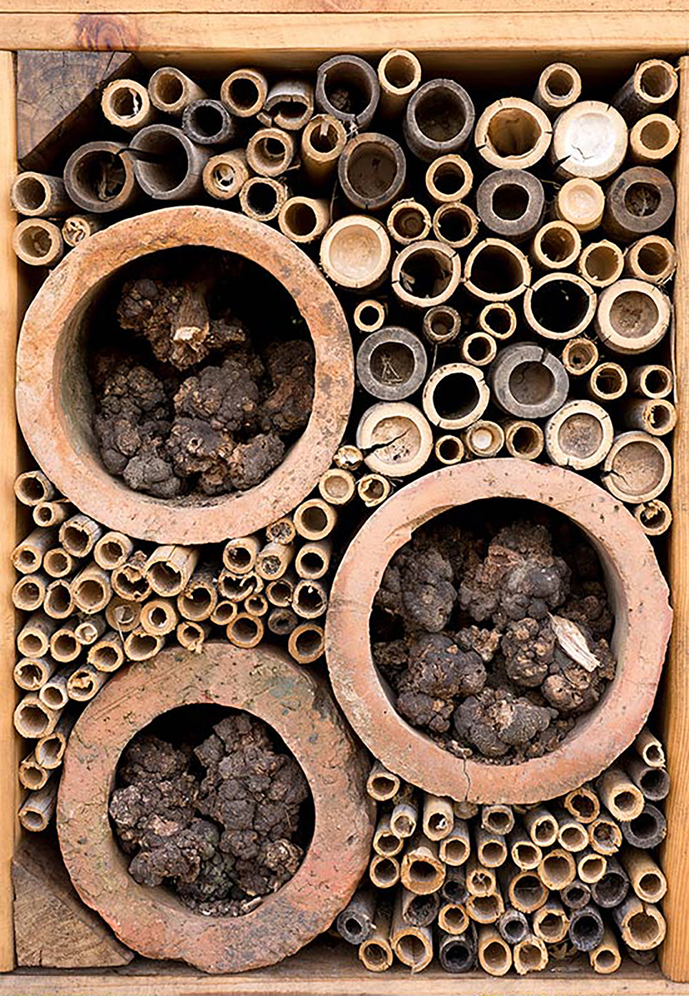 Safari Journal / Blog by Safari Fusion | A room at the inset hotel? | Keeping the ecosystem of the Cape Dutch farm Babylonstoren in perfect harmony / South Africa