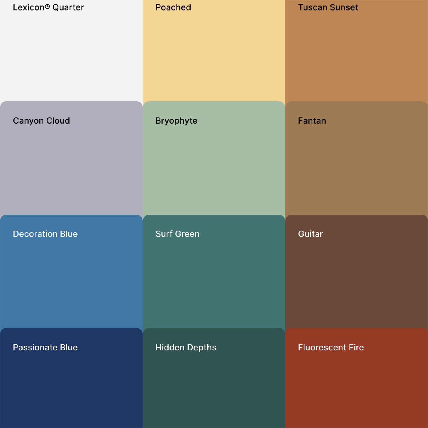 Safari Journal / Blog by Safari Fusion | Dulux Colour Forecast 2024 'Solstice, Journey, Muse' | Muse Colour Palette