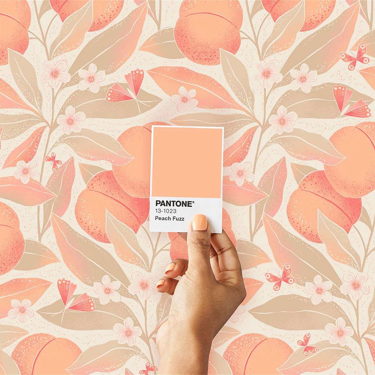 Safari Journal / Blog by Safari Fusion | Peach Fuzz | Pantone Colour of the Year 2024