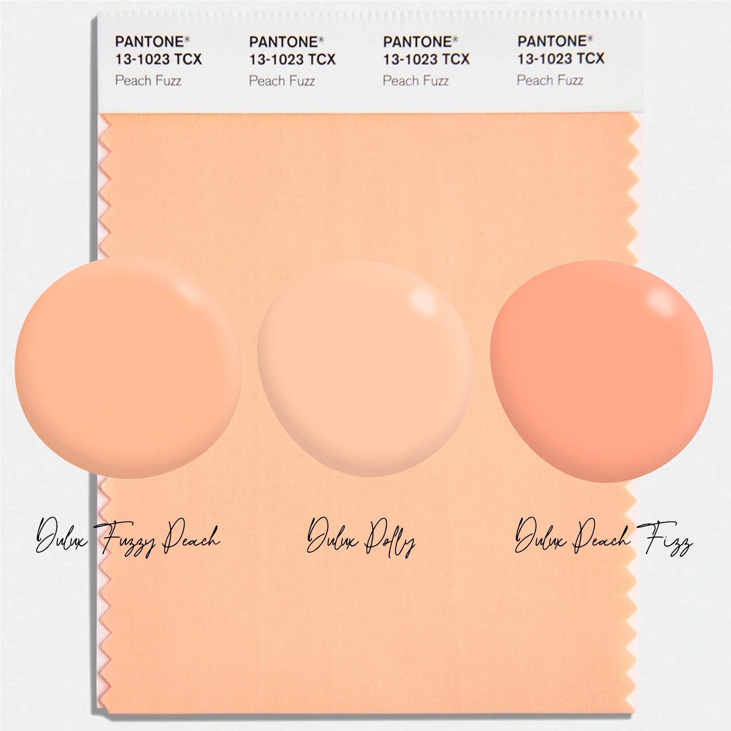 Safari Journal / Blog by Safari Fusion | Peach Fuzz | Pantone Colour of the Year with Dulux Fuzzy Peach, Dulux Polly and Dulux Peach Fizz