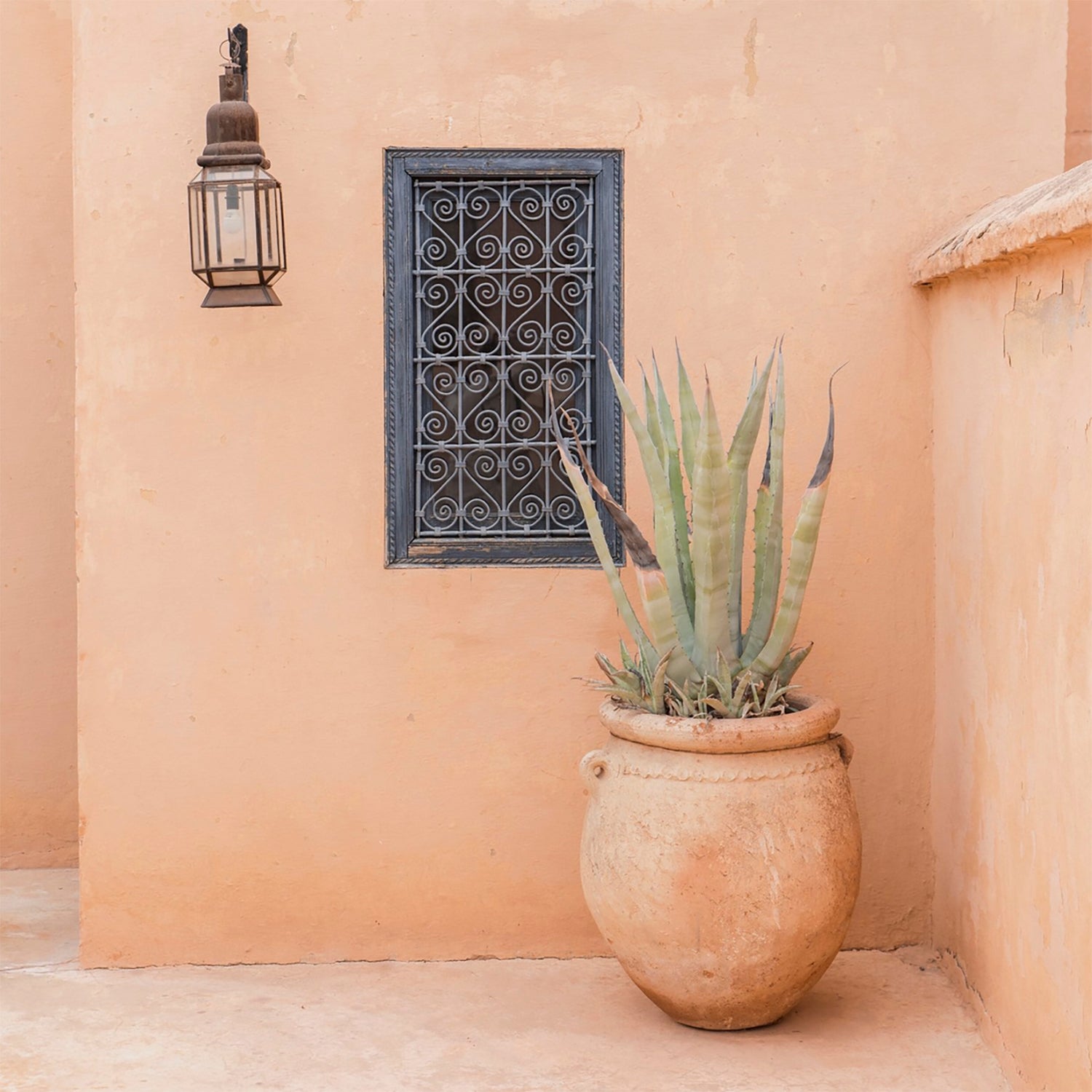 Safari Journal / Blog by Safari Fusion | Peach Fuzz | Marrakech riad by Morocco based photographer Leonie Zaytoune