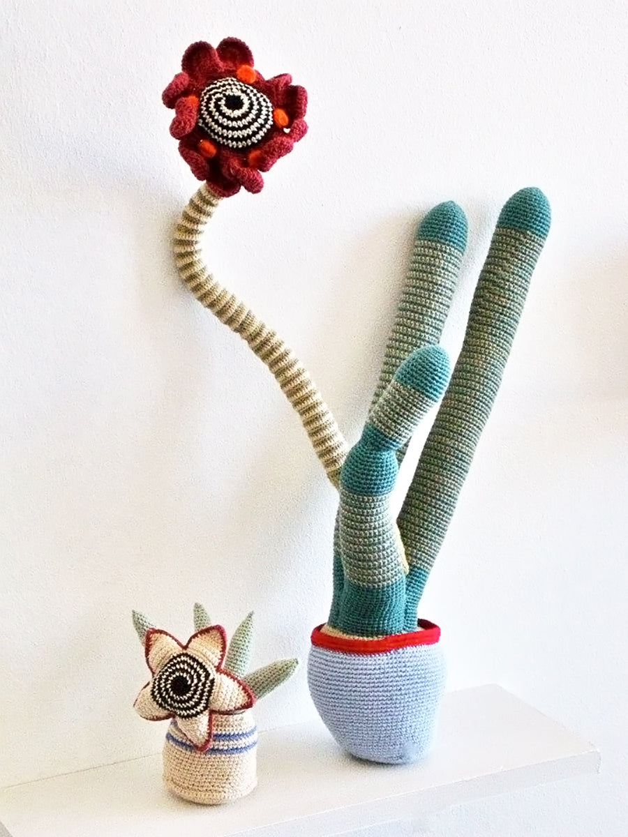 Safari Journal / Blog by Safari Fusion | Hand-knitted veld flowers | Crochet Cactus