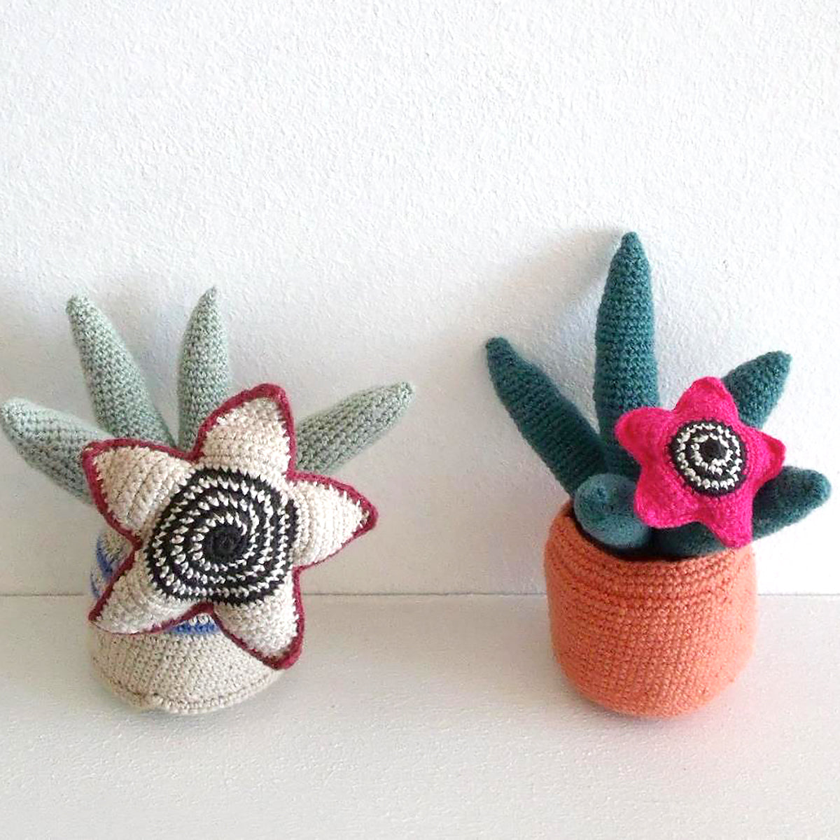 Safari Journal / Blog by Safari Fusion | Hand-knitted veld flowers | Crochet Cactus