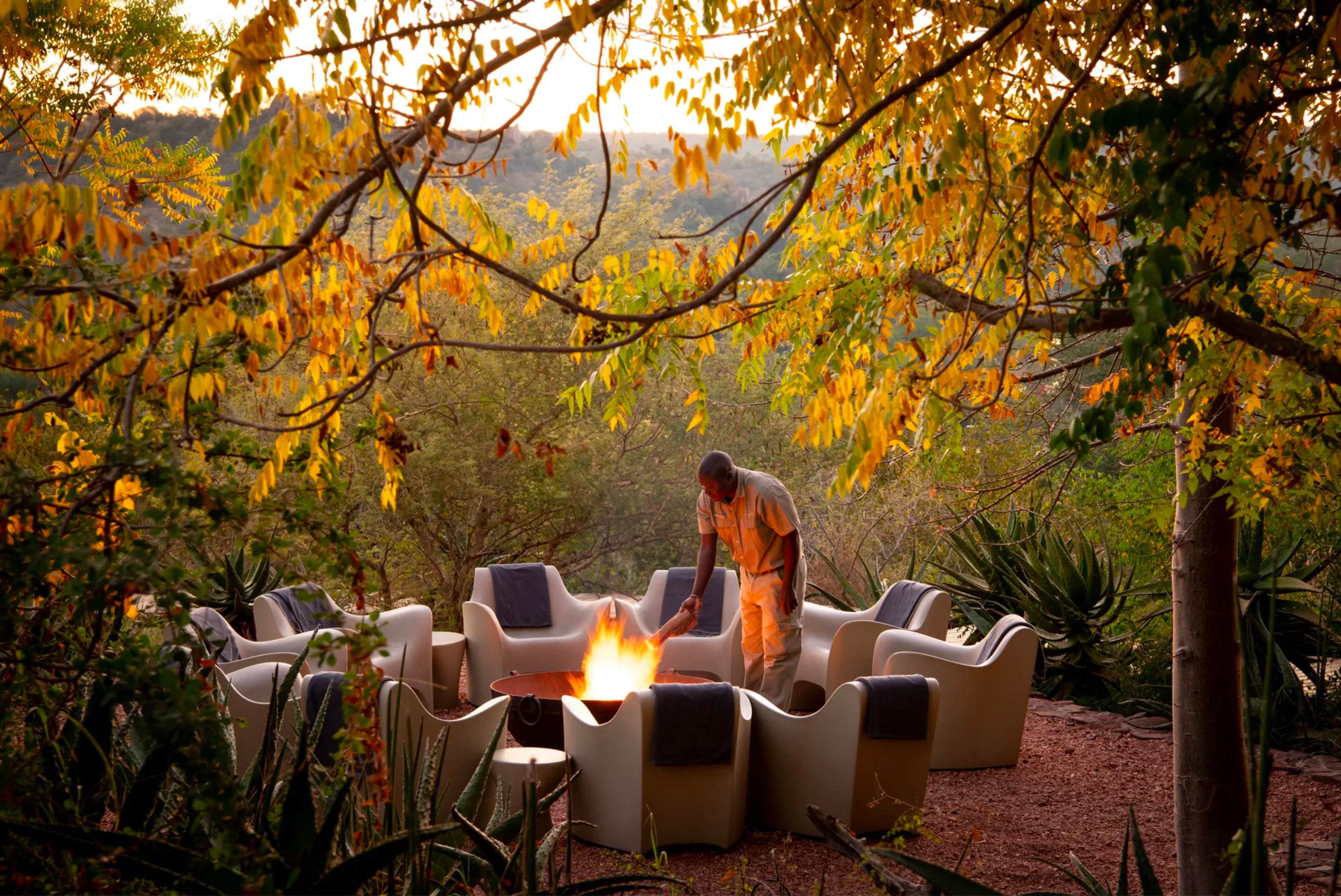 Safari Journal / Blog by Safari Fusion | Singita Lebombo Lodge, Kruger National Park South Africa