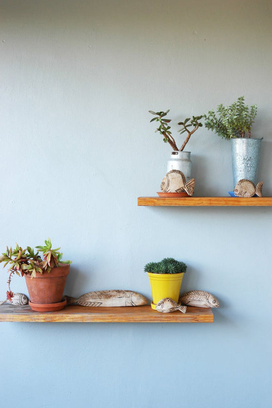 Colour crush / yellow | Transkei wooden fish and yellow pot plant on the front porch of a Cape Town home