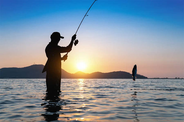 The Beginner's Guide to Buying Saltwater Fishing Rods - Gomexus