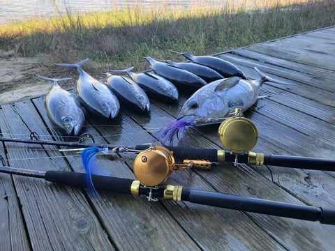 Reel in the Biggest Catch Yet with Our Handpicked Best Offshore Trolling Reels