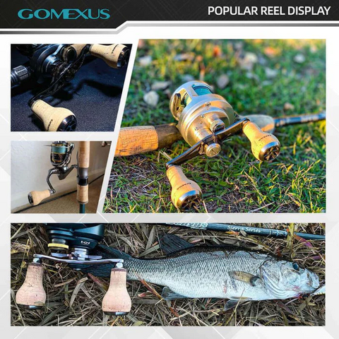 Buying Guides  Spinning Reel Fishing for Beginners - Gomexus