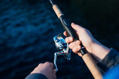 The Beginner's Guide to Offshore Fishing Rods and Reels: Here's What You  Need! 